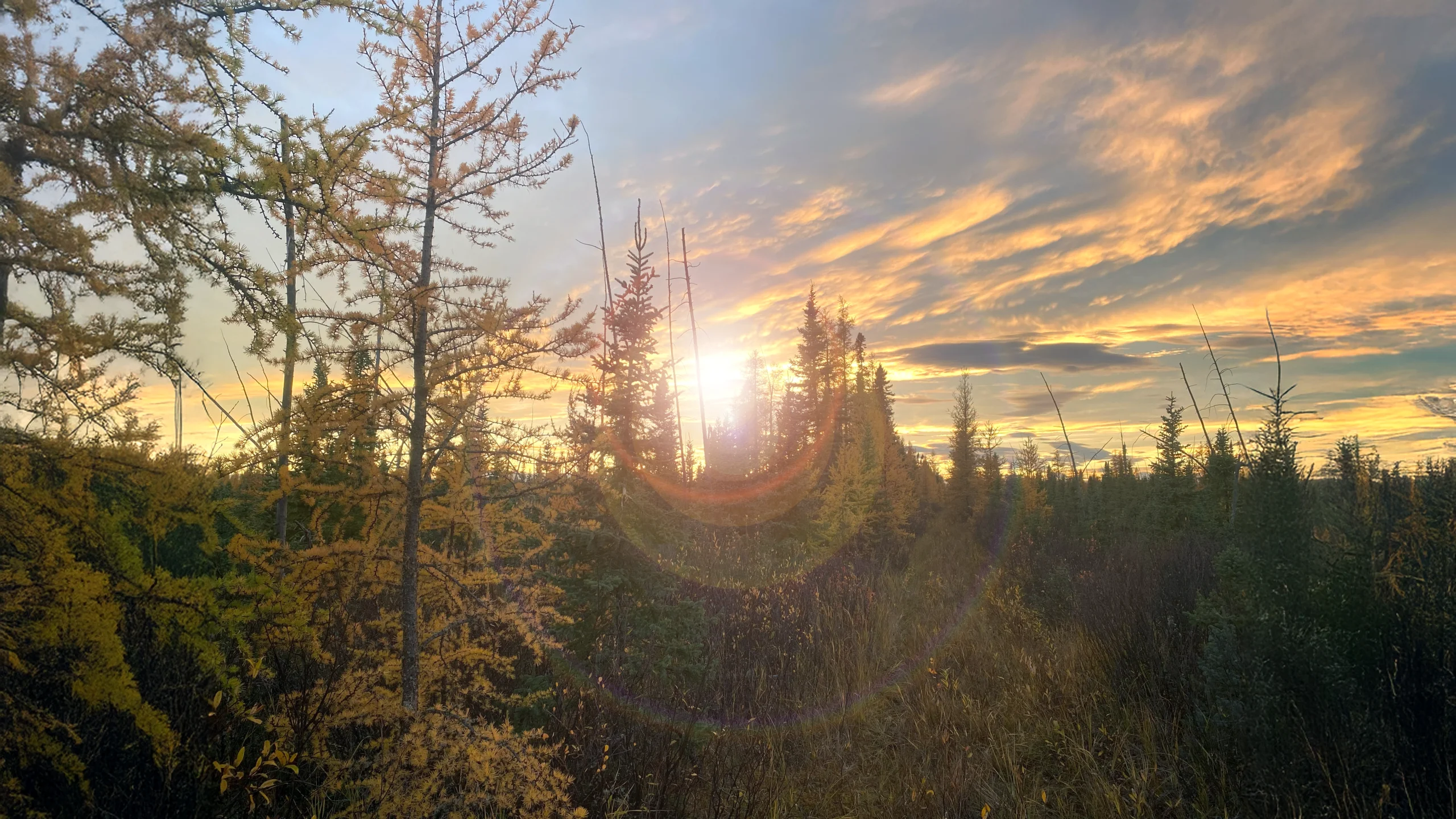 Alberta Canada Hunts – Alberta Hunting Guide – Dudla Outfitting