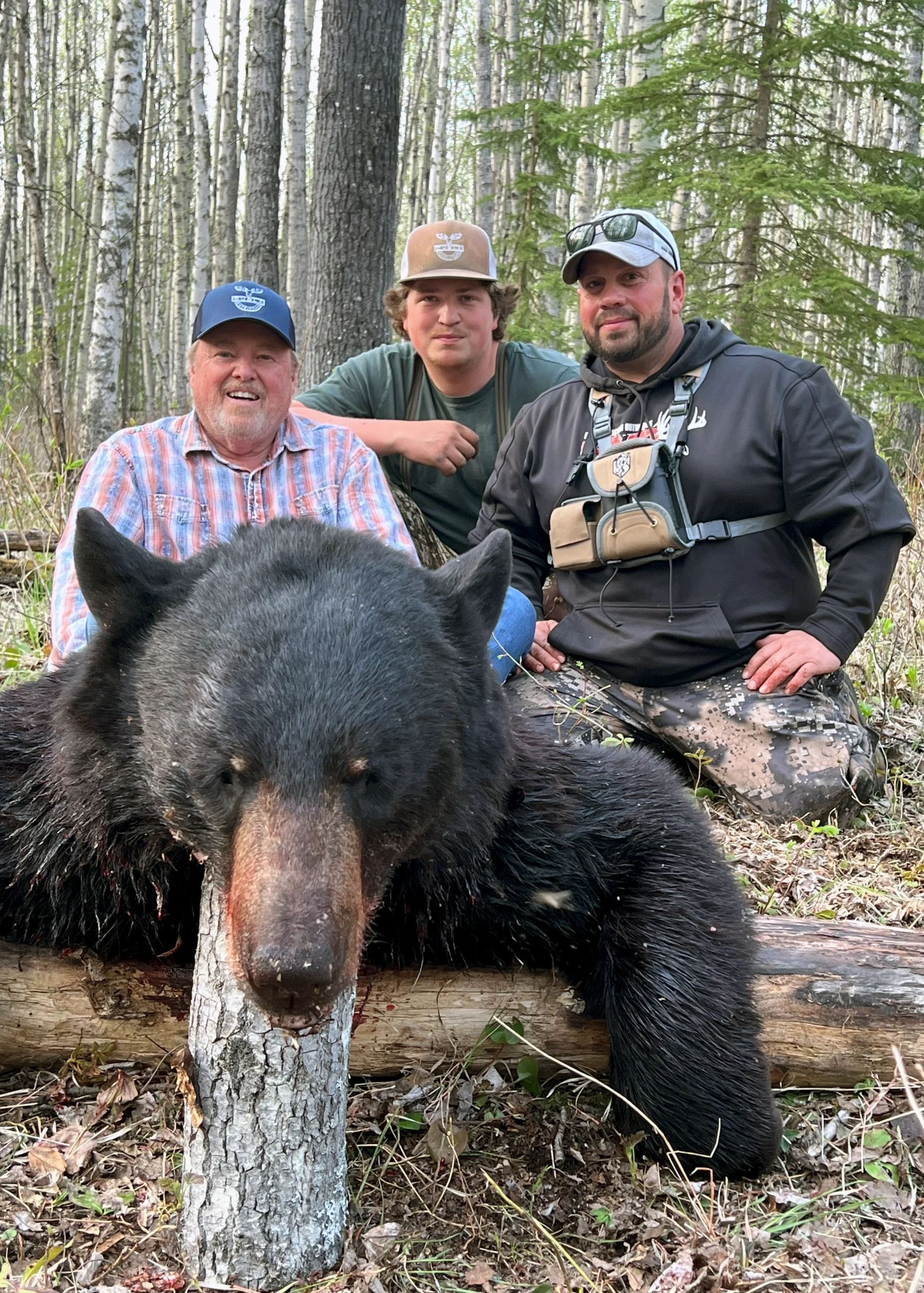 Black Bear Trophy Tag – Alberta Hunting Guide – Dudla Outfitting