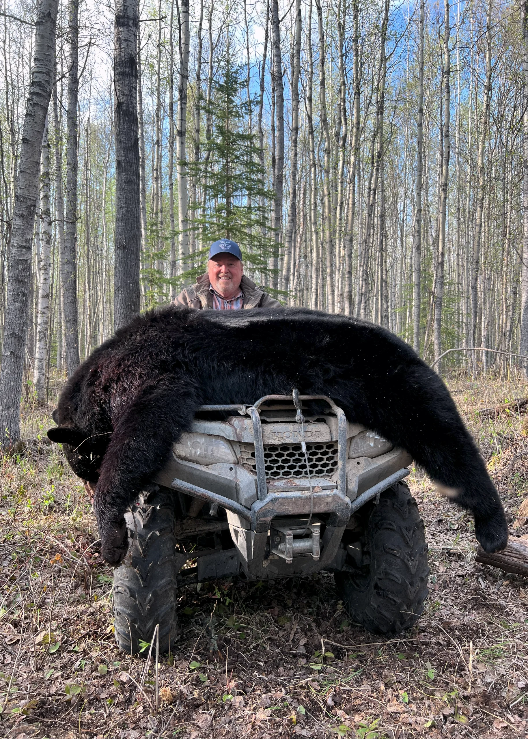 Huge Black Bear Trophy – Alberta Hunting Guide – Dudla Outfitting