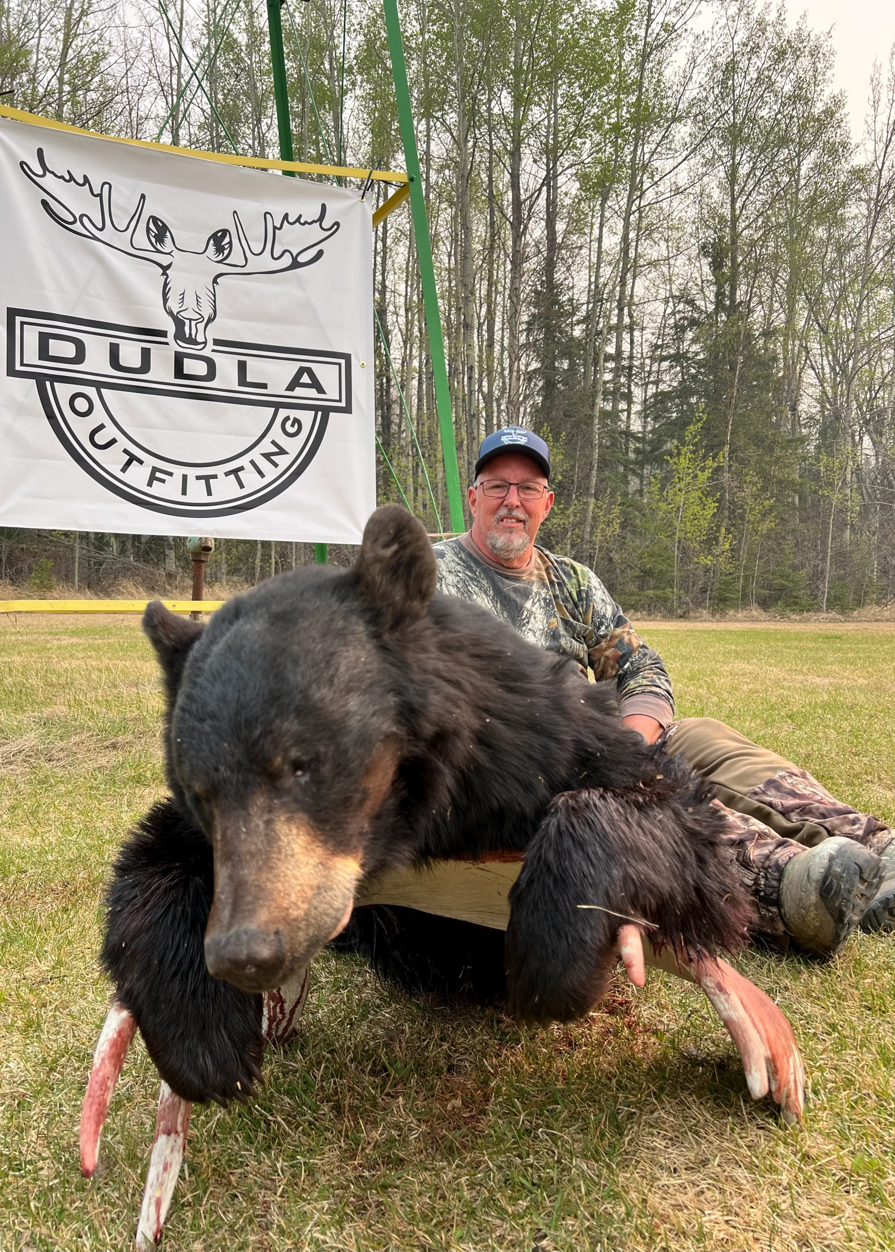 Large Black Bear Trophy Tag – Alberta Hunting Guide – Dudla Outfitting