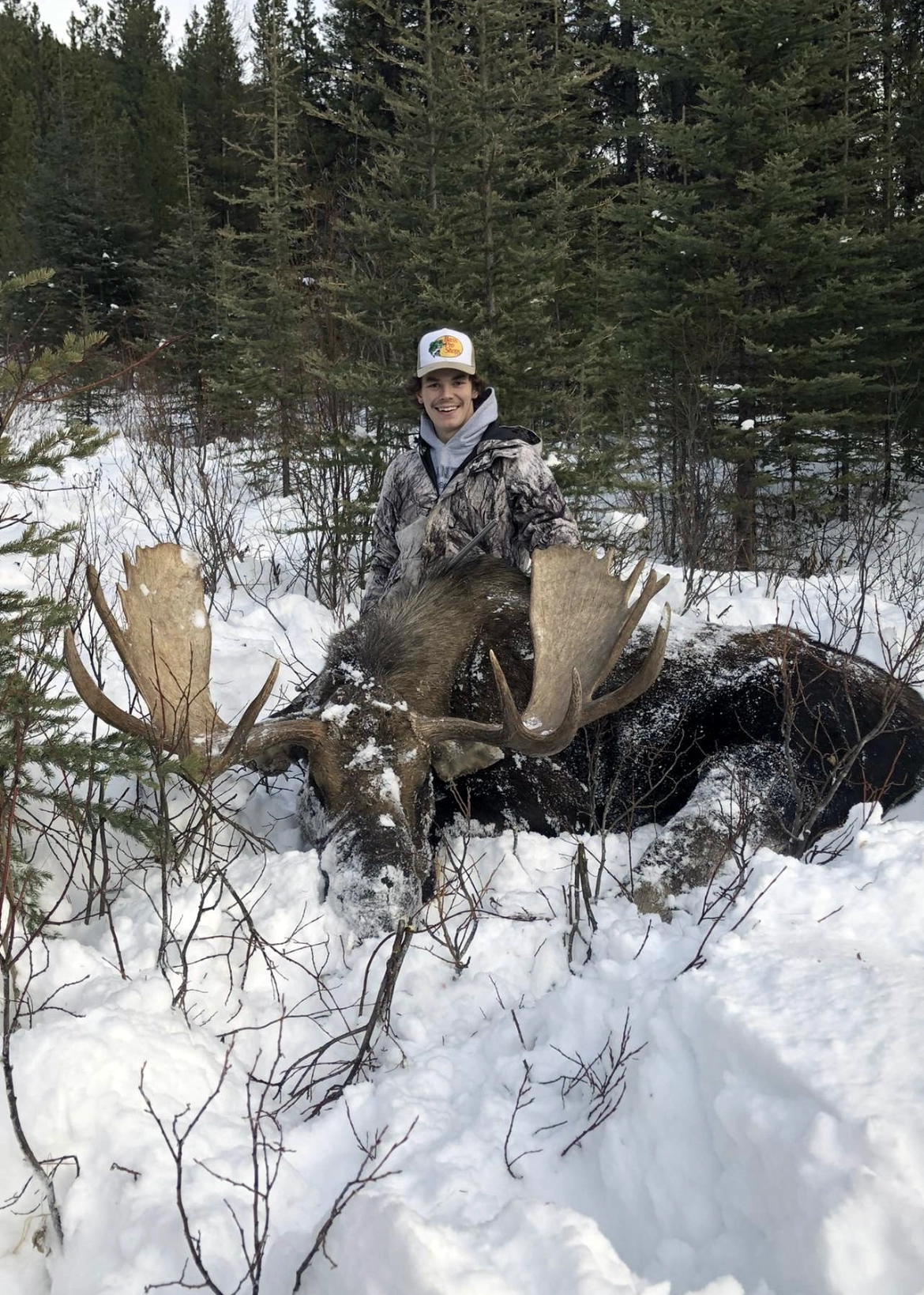 Moose Hunt – Alberta Hunting Guides – Dudla Outfitting