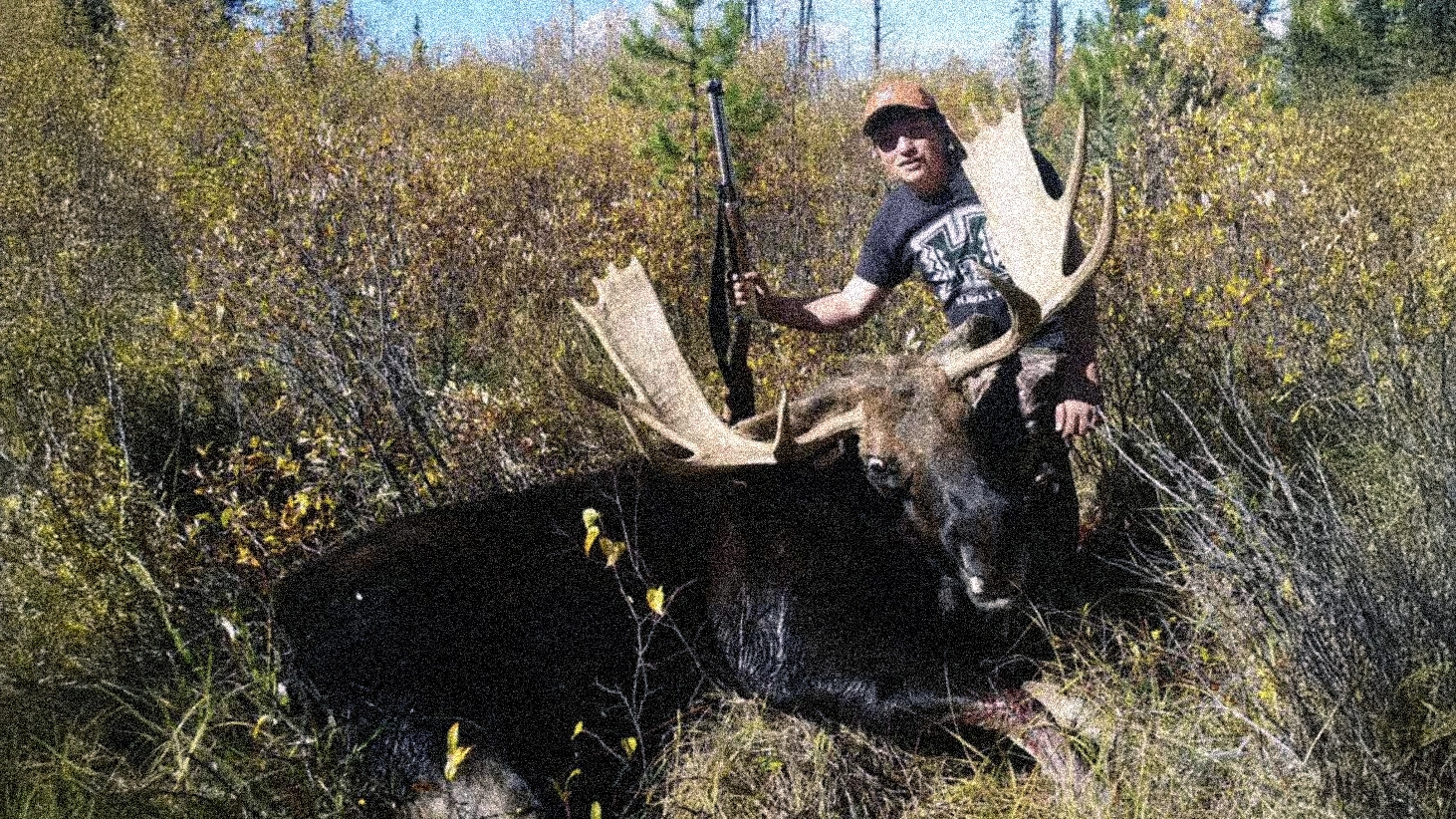 Trophy Moose Hunt – Alberta Hunting Guide – Dudla Outfitting