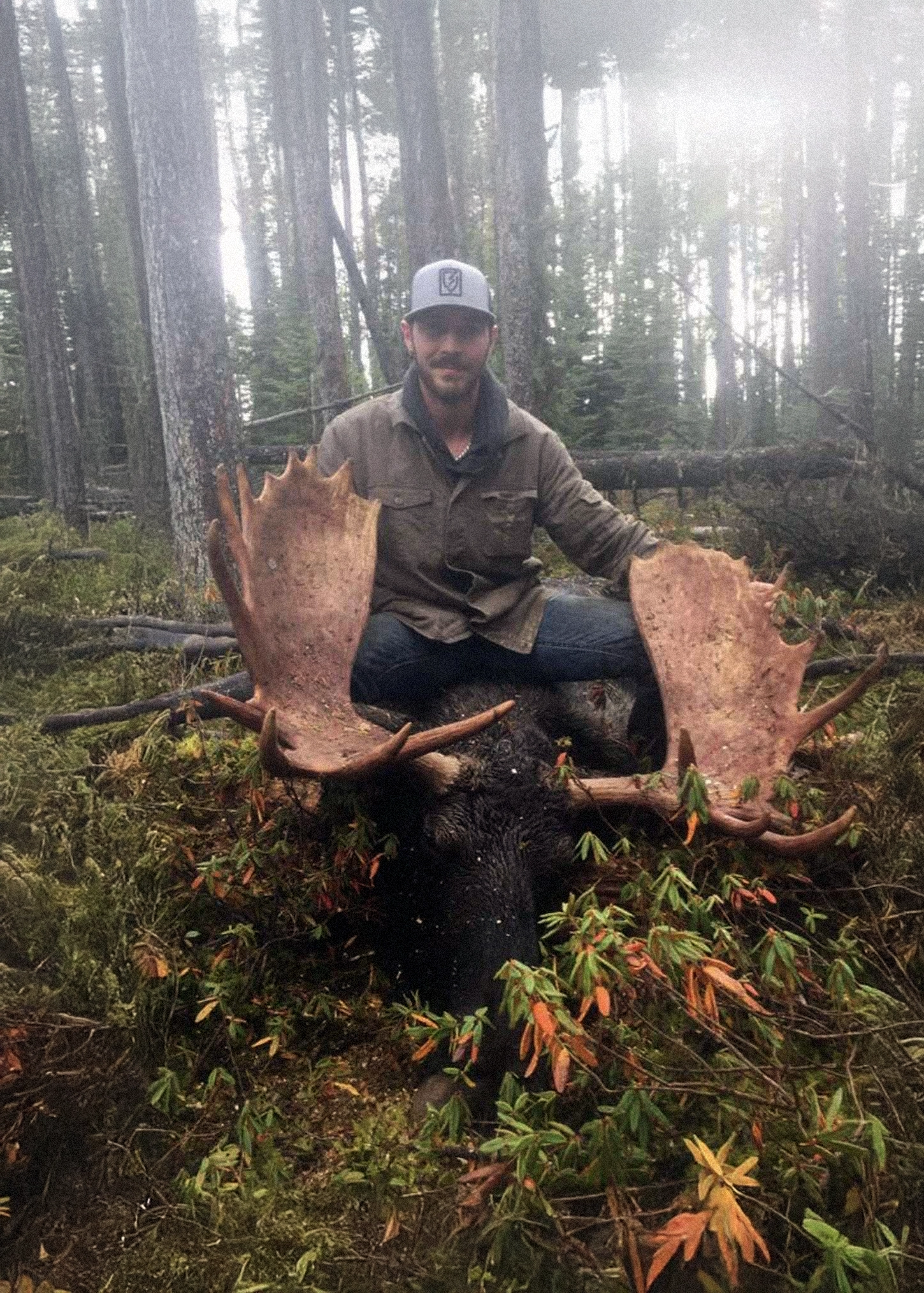 Trophy Moose Hunt in Alberta – Alberta Hunting Guides – Dudla Outfitting